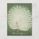 Search for peacock print postcards Green