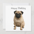 Search for pug cards Celebration