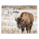 Search for wildlife calendars Wild animals