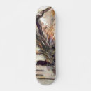 Search for barking skateboards Nature