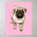 Search for coloured background posters Puppy