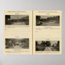 Search for cold spring Reproduction