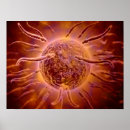 Search for cell biology posters 3d