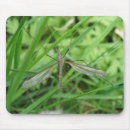 Search for flying bugs mousepads Wings