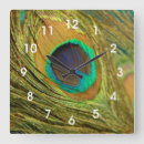 Search for peacock home decor posters Feathers