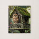 Search for owl puzzles Wildlife