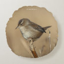 Search for marsh cushions Bird