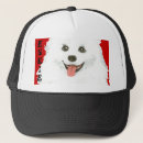 Search for eskimo Eskimo dog