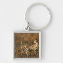 Search for mara key rings Wildlife