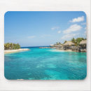 Search for tropical palms sand electronics Palm trees