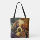 Search for precious bags Dog