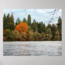 Search for tranquillity posters Photography