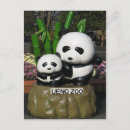 Search for cute baby panda postcards Funny