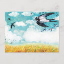 Search for swallows postcards Wild