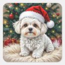 Search for maltese dogs stickers Pet