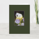 Search for sensual cards Woman