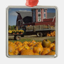 Search for rural christmas tree decorations Pumpkin