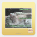 Search for cage stickers I can has cheezburger