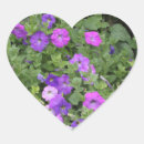 Search for spring photos stickers For her
