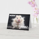 Search for hamster photography Gerbil