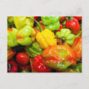 Search for peppers postcards Chilli