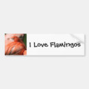 Search for animal photos bumper stickers Animals