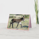 Search for burro invitations Cute
