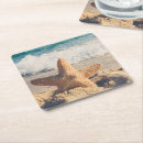 Search for sandy coasters Starfish