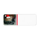 Search for orange tabby cat return address labels Cats