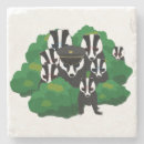 Search for badger coasters Black and white