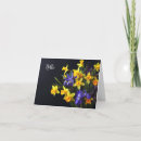 Search for daffodil note cards Colourful