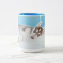 Search for huskie mugs Puppy