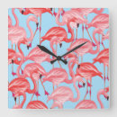 Search for flamingo clocks Exotic
