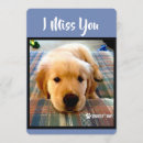 Search for golden retriever puppies postcards Adorable