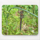 Search for damselfly mousepads Dragonflies and damselflies