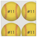 Search for softball fabric Catcher