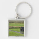 Search for the lanes key rings Vintage