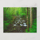 Search for medium format postcards Jaynes gallery