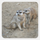 Search for african mammals stickers Nature
