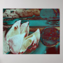 Search for lillies posters Floral