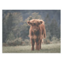Search for cattle tablecloths Highland cow