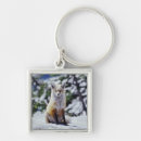 Search for adam jones key rings Environment