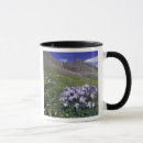 Search for home state mugs Green