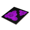 Search for crocus tiles Nature