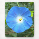 Search for morning glory mousepads Flower