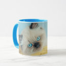 Search for himalayan mugs Siamese cat