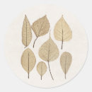 Search for botanical drawing stickers Leaves
