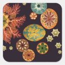 Search for orange fish stickers Black