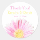 Search for pink gerbera stickers Daisies