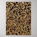 Search for honeybee posters Bees